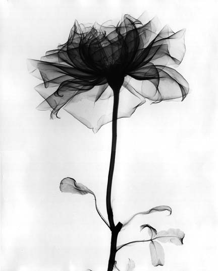 2 (17).jpg