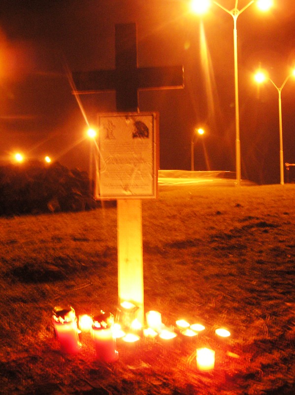 200604060007_svicky.jpg